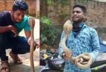 പാമ്പിനെ പിടികൂടാനെത്തിയ യുവാവിന് പാമ്പു കടിയേറ്റ് ദാരുണമരണം