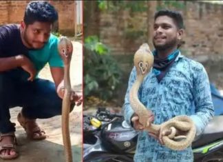പാമ്പിനെ പിടികൂടാനെത്തിയ യുവാവിന് പാമ്പു കടിയേറ്റ് ദാരുണമരണം