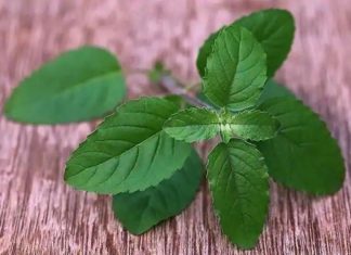 മഴക്കാലത്തെ പ്രതിരോധശേഷിക്ക് ശീലമാക്കൂ ഇവ