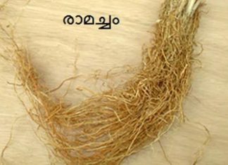 เด
เดฑเดฟเดเตเดเดฟเดฐเดฟเดเตเดเดพเด เดฐเดพเดฎเดเตเดเดคเดฟเดจเตเดฑเต เดเตเดฃเดเตเดเตพ