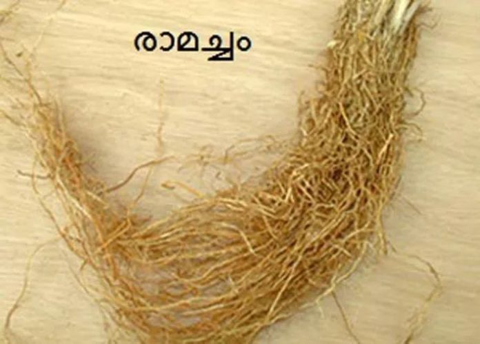 IMG-20200609-WA0150_1024_734