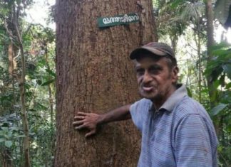ആറേക്കർ വരുന്ന സ്വന്തം ഭൂമി, പ്രകൃതിക്കായി നൽകിയ കോട്ടയം സ്വദേശി പി.ഡി സെബാസ്റ്റ്യൻ എന്ന വൃക്ഷ മനുഷ്യൻ ഓർമയായി