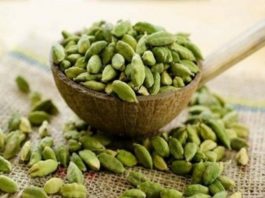 ഏലയ്ക്കയുടെ നിങ്ങളറിയാത്ത 7 ഗുണങ്ങൾ