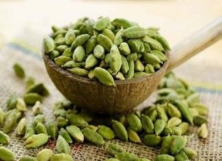 ഏലയ്ക്കയുടെ നിങ്ങളറിയാത്ത 7 ഗുണങ്ങൾ