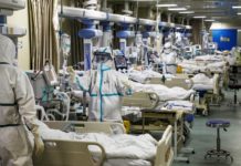 เดฒเตเดเดคเตเดคเดพเดเต เดเตเดตเดฟเดกเต เดฐเตเดเดฟเดเดณเตเดเต เดเดฃเตเดฃเด 8,005,294