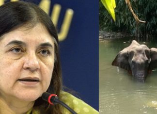 ആന ചരിഞ്ഞ സംഭവം;മലപ്പുറം വിവാദം;മേനകാ ഗാന്ധിക്കെതിരെ കേസെടുക്കണമെന്ന് ആവശ്യം!