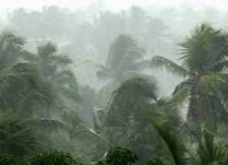 കേരളത്തില് അടുത്ത നാല് ദിവസം ശക്തമായ മഴയ്ക്ക് സാധ്യതയുള്ളതായി മുന്നറിയിപ്പ്