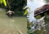 പാലക്കാട് കാട്ടാനയെ കൊല്ലാന് സ്ഫോടക വസ്തു വെച്ചത് പൈനാപ്പിളിലല്ല തേങ്ങയില്