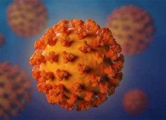 เดเตเดตเดฟโเดกเดฟเดจเตเดคเดฟเดฐเตเดฏเตเดณเตเดณ เดเดจเตเดฑเดฟเดฌเดฏเตเดเตเดเดฟเดเต เดเดชเดฏเตเดเด เดฌเดพเดเตเดเตเดฐเดฟเดฏเดเตเดเตเดคเดฟเดฐเตเดฏเตเดณเตเดณ เดชเตเดฐเดคเดฟเดฐเตเดง เดถเตเดทเดฟ เดเตเดฑเดเตเดเตเดฎเตเดจเตเดจเต เดฒเตเดเดพเดฐเตเดเตเดฏ เดธเดเดเดเดจ