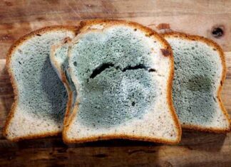 ഭക്ഷണത്തില് പൂപ്പലോ, അറിയണം ഈ അപകടത്തെ