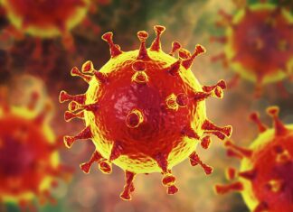 കോവിഡ് മുക്തരായവരിൽ വീണ്ടും രോഗബാധയുണ്ടാവുന്നതിന്റെ കാരണം ഇതാണ്