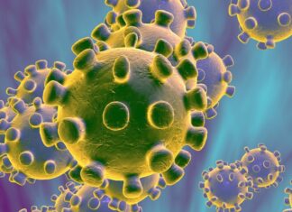 തൊലിപ്പുറത്തെ തടിപ്പും കോവിഡിന്റെ ലക്ഷണമാണെന്ന് ലണ്ടൻ കിംങ്സ് കോളജിലെ ശാസ്ത്രജ്ഞന്മാരുടെ കണ്ടെത്തൽ