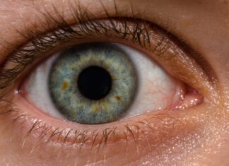 മനുഷ്യ നേത്രം