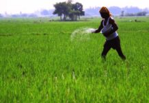 ആർക്കും കൃഷി ചെയ്യാം; കൃഷി ചെയ്യാൻ നിങ്ങളെ സഹായിക്കും ഈ അറിവുകൾ