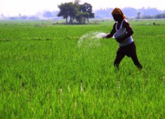 ആർക്കും കൃഷി ചെയ്യാം; കൃഷി ചെയ്യാൻ നിങ്ങളെ സഹായിക്കും ഈ അറിവുകൾ