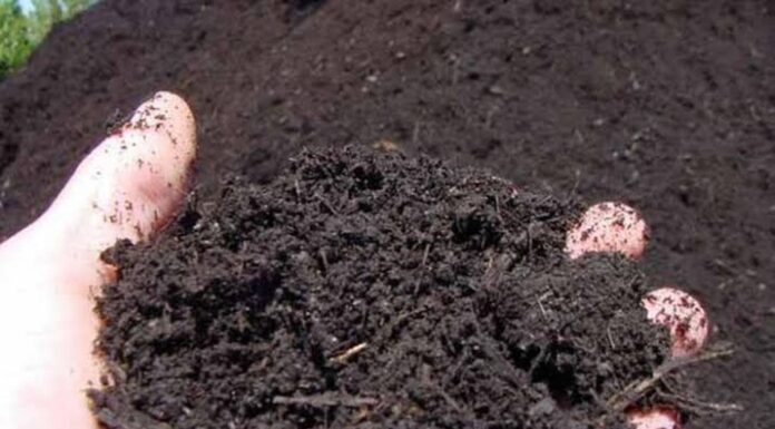 เดเตเดดเดฟ เดเดพเดทเตเดเด เดเดเตเดเดจเต เดจเดฎเตเดฎเตเดเต เดเตเดทเดฟ เดเตเดเต เดเดชเดเดพเดฐเดชเตเดฐเดฆเด เดเดฏ เดตเดณเด เดเดเตเดเดพเด เดเดจเตเดจเต เดจเตเดเตเดเดพเด