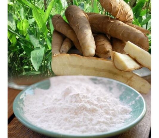 കാർഷികഅറിവുകൾ; കൂവ