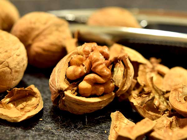 cover-28-1485594316-1594451497