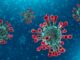 പഞ്ചാബിൽ കോറോണ മുക്തരായവർക്ക് വീണ്ടും കോറോണ സ്ഥിരീകരിച്ചു
