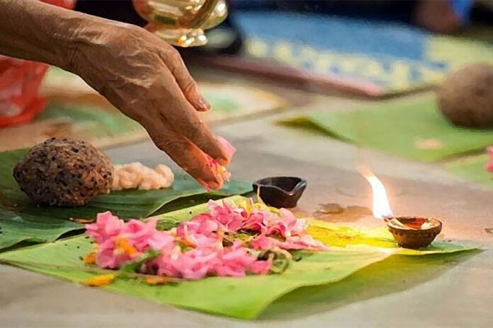 india-karkkadaka-vavu-01