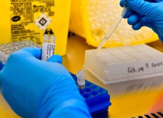 പുതിയ കോവിഡ് ടെസ്റ്റ് കിറ്റ് വികസിപ്പിച്ചെടുത്ത് യുകെ; 20 മിനുട്ടിൽ റിസൾട്ട് അറിയാം