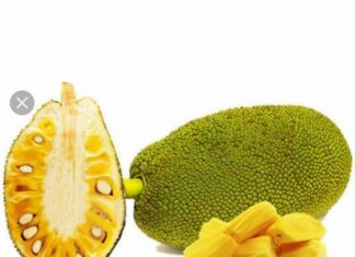 ഇന്ന് അന്തർദേശീയ ചക്കദിനം