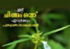 ഇന്ന് ചിങ്ങം 1; മലയാളികൾക്ക് ഇന്ന് പുതുവർഷാരംഭം