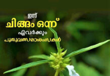 ഇന്ന് ചിങ്ങം 1; മലയാളികൾക്ക് ഇന്ന് പുതുവർഷാരംഭം