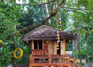 ആരോമൽ സാജു തയ്യാറാക്കിയ വായനശാലയ്ക്ക് സവിശേഷതകൾ ഏറെ