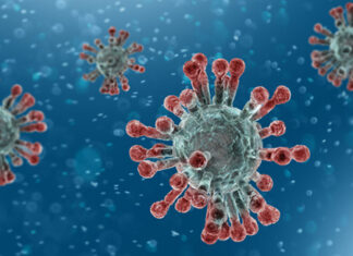 കോവിഡ്; രോഗലക്ഷണം ഇല്ലാത്തവരിലും രോഗികളില് ഉള്ളത്ര വൈറസ് സാനിധ്യമുണ്ടെന്ന് റിപ്പോര്ട്ട്!