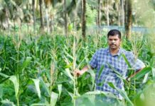 കോവിഡ് പ്രതിസന്ധിയില് കൃഷിയിലേക്ക് ഇറങ്ങാം; ഒരു വിജയകഥ