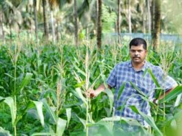 കോവിഡ് പ്രതിസന്ധിയില് കൃഷിയിലേക്ക് ഇറങ്ങാം; ഒരു വിജയകഥ