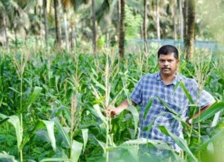 കോവിഡ് പ്രതിസന്ധിയില് കൃഷിയിലേക്ക് ഇറങ്ങാം; ഒരു വിജയകഥ