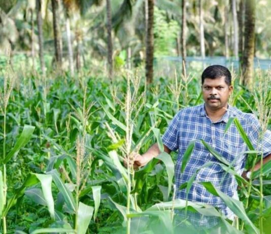 เดเตเดตเดฟเดกเต เดชเตเดฐเดคเดฟเดธเดจเตเดงเดฟเดฏเดฟเดฒเตโ เดเตเดทเดฟเดฏเดฟเดฒเตเดเตเดเต เดเดฑเดเตเดเดพเด; เดเดฐเต เดตเดฟเดเดฏเดเดฅ