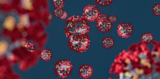 സംസ്ഥാനത്ത് ഇന്ന് 1983 പേര്ക്ക് കൊവിഡ്-19 സ്ഥിരീകരിച്ചു