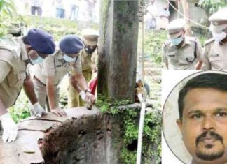 ചിറ്റാര് സ്വദേശി മത്തായിയുടെ ദുരൂഹ മരണത്തില് വനംവകുപ്പ് ഉദ്യോഗസ്ഥരെ സസ്പെന്ഡ് ചെയ്തു
