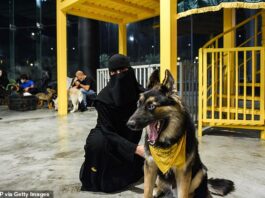 เดธเตเดฆเดฟเดฏเดฟเดฒเตโ เดตเดณเดฐเตโเดคเตเดคเต เดจเดพเดฏ เดเดเดฎเดเดณเตโเดเตเดเต เดธเดจเตเดคเตเดทเด เดตเดพเดฐเตโเดคเตเดค; เดเดจเดฟ เดตเดณเดฐเตโเดคเตเดคเต เดจเดพเดฏเดเดณเตโเดเตเดเต เดชเตเดฑเดคเตเดคเดฟเดฑเดเตเดเดพเด; เดชเตเดคเดฟเดฏ เดเดซเต เดคเตเดฑเดจเตเดจเต