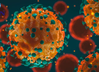 സംസ്ഥാനത്ത് ഇന്ന് 3082 പേര്ക്ക് കൊവിഡ്-19 സ്ഥിരീകരിച്ചു