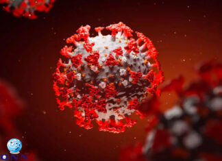 കൊറോണ വൈറസ് തലച്ചോറിനെ ബാധിക്കുമെന്ന് കണ്ടെത്തൽ