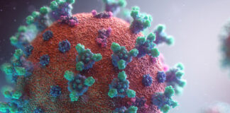 കോവിഡ് വന്നുപോയവർക്ക് വീണ്ടും രോഗം വന്നു : അപൂർവ്വമാണെന്ന് ഡോക്ടർമാർ