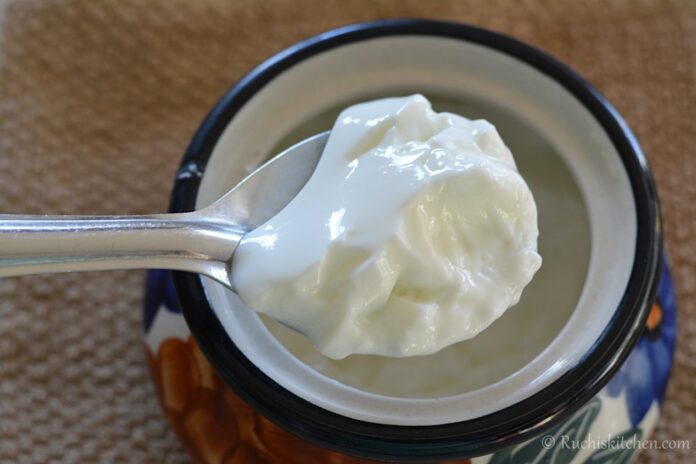 Homemade-dahi-recipe