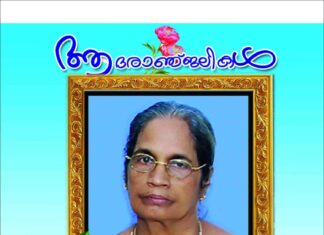 ഡബ്ലിൻ ബ്ലാഞ്ചാർഡ്സ്ടൗണിലെ സാജുവിന്റേയും സാബുവിന്റേയും മാതാവ് മേരി കൊച്ചു വർക്കി നിര്യാതയായി