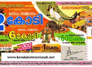 ഇടുക്കി സ്വദേശി അനന്തു കോടിപതിയായി