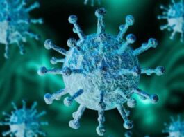 ജനിതക മാറ്റം വന്ന കോവിഡ് 50 രാജ്യങ്ങളില് വ്യാപിച്ചെന്ന് ഡബ്ല്യു. എച്ച്.ഒ