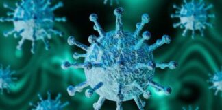 ജനിതക മാറ്റം വന്ന കോവിഡ് 50 രാജ്യങ്ങളില് വ്യാപിച്ചെന്ന് ഡബ്ല്യു. എച്ച്.ഒ