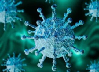 ജനിതക മാറ്റം വന്ന കോവിഡ് 50 രാജ്യങ്ങളില് വ്യാപിച്ചെന്ന് ഡബ്ല്യു. എച്ച്.ഒ