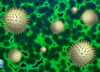 സംസ്ഥാനത്ത് കൊവിഡ് ബാധിതരുടെ എണ്ണം സെപ്തംബര്- ഒക്ടോബര് മാസത്തില് പ്രതിദിനം അയ്യായിരം കടക്കുമെന്ന് ഐ.എം.എ