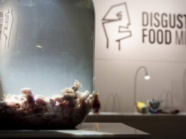 ‘അണ്ണാന് വൈനും ഉറുമ്പ് ജിന്നും’ വേണോ?