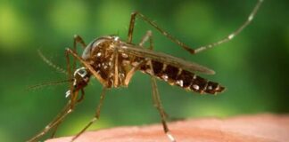 เดเตเดจเดฏเดฟเดฒเตโ เดจเดฟเดจเตเดจเต เดชเตเดคเดฟเดฏ เดเดจเด เดตเตเดฑเดธเต : ‘เดเตเดฏเดพเดฑเตเดฑเต เดเตเดฏเต ‘ เดเดจเตเดคเตเดฏเดฏเดฟเดฒเตโ เดเดพเดเตเดฐเดค