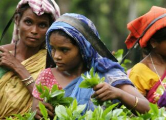 അല്ഖൊയിദ: മുര്ഷിദാബാദില് ഒരാള് പിടിയില്- മൂന്നാറില് ഇന്റലിജന്സ് പരിശോധന